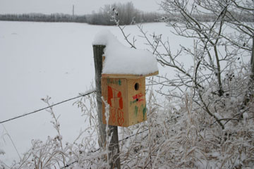 Photo of a Bluebird Birdhouse