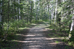 Photo of Nature Trail